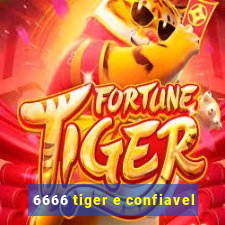 6666 tiger e confiavel